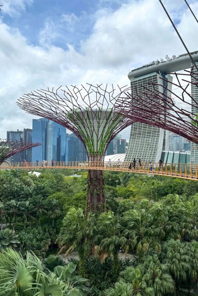 Singapore’s towering Supertrees with the OCBC Skyway bridge and Marina Bay Sands in the distance. A futuristic highlight of Singapore vs Hong Kong travel.