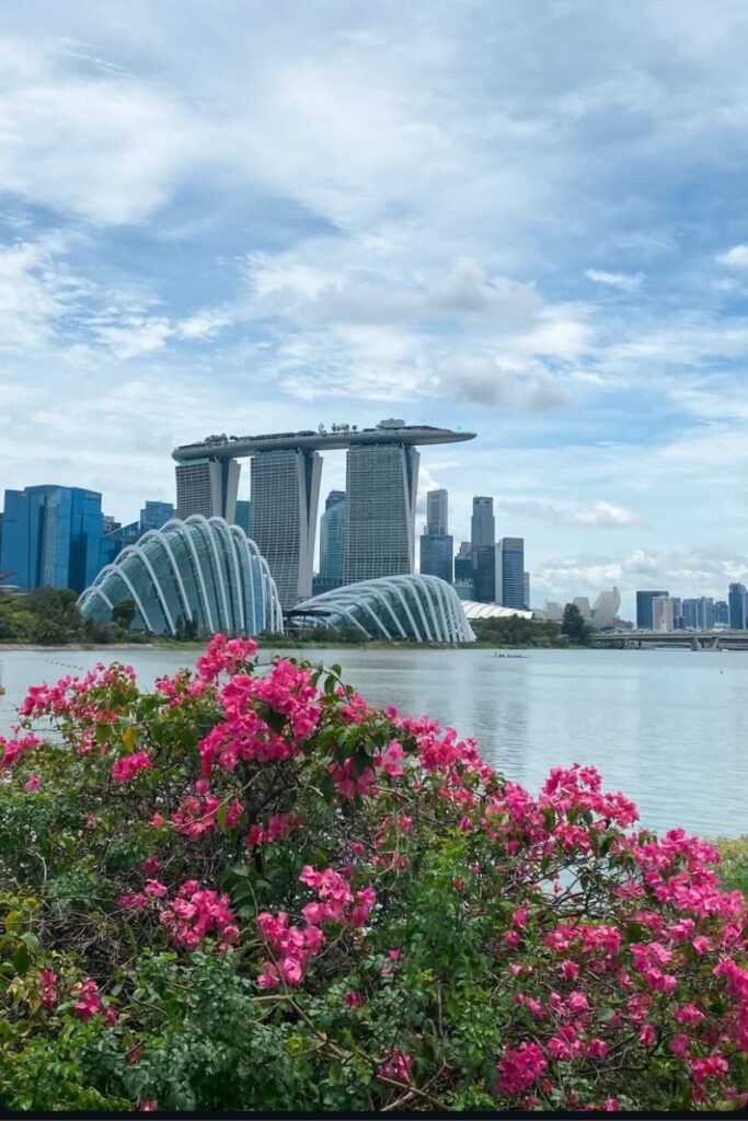 Singapore’s Marina Bay Sands towers rise above the waterfront, framed by the futuristic domes of Gardens by the Bay and bright pink flowers in the foreground. A stunning highlight for Singapore vs Hong Kong travelers.