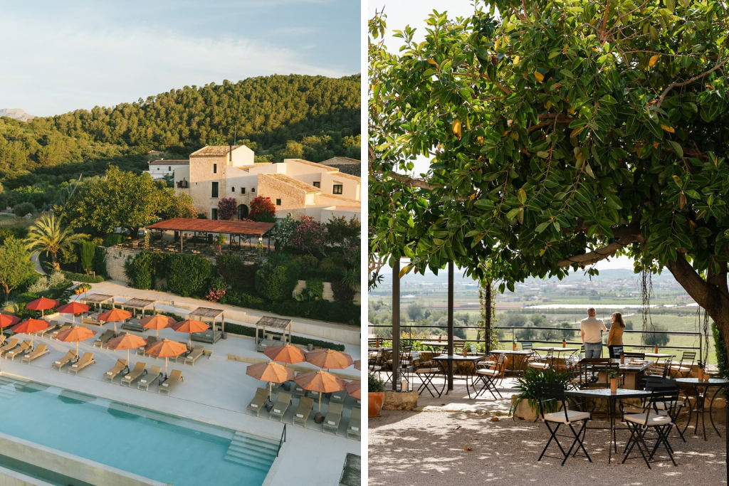 A tranquil resort pool and shaded terrace overlook rolling countryside, olive groves, and forested hills in golden light. Perfect for where to stay in Mallorca without a car while enjoying a peaceful rural retreat.